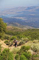 High Point Truck Trail on Palomar Mountain