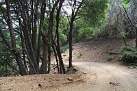 High Point Truck Trail on Palomar Mountain