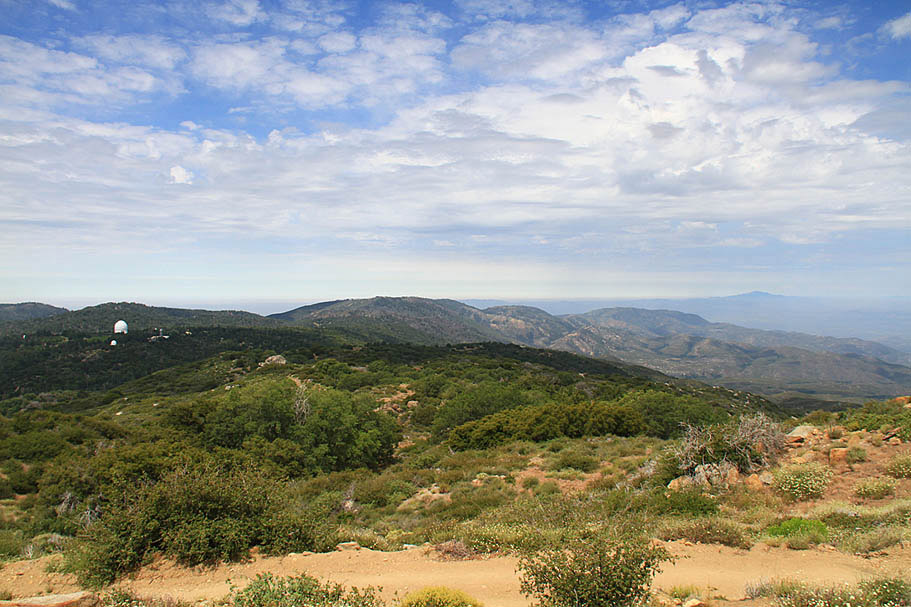 High Point Truck Trail on Palomar Mountain