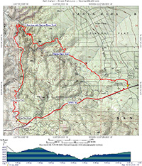 Palm Canyon Pinyon Flats Loop