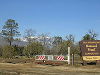 Palm Canyon Pinyon Flats Loop