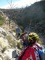 Palm Canyon Pinyon Flats Loop