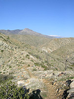 Palm Canyon Pinyon Flats Loop