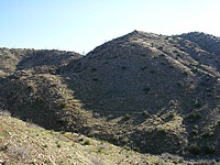 Palm Canyon Pinyon Flats Loop