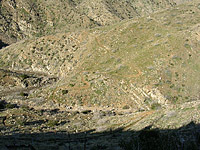 Palm Canyon Pinyon Flats Loop