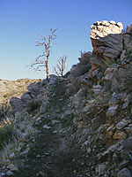 Palm Canyon Pinyon Flats Loop