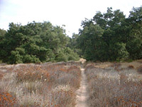 SanJuanTrail-30OCT01-09-UpperMeadow.jpg (253365 bytes)