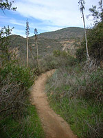 Santiago-JoplinTruckTrail-Luge-19JAN01-19-Luge-3.JPG (145841 bytes)