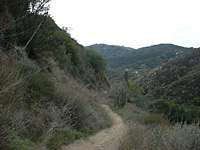 Santiago-JoplinTruckTrail-Luge-19JAN01-22-Luge-6.JPG (114132 bytes)