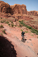 Amasa Back in Moab