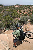 The Porcupine Rim Trail