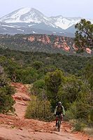 The Porcupine Rim Trail