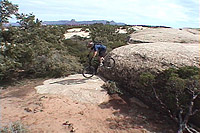 images/Trails/Utah-StGeorge/Gooseberry-Bryce1.jpg