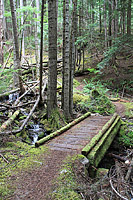 Lower Dungeness and Gold Creek Trails