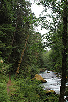 Lower Dungeness and Gold Creek Trails