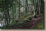 Whistle Lake Area of Anacortes