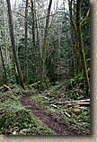 Whistle Lake Area of Anacortes