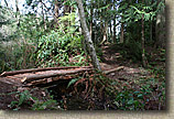 Whistle Lake Area of Anacortes