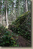 Whistle Lake Area of Anacortes