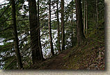 Whistle Lake Area of Anacortes