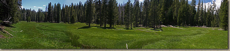Oso Meadow