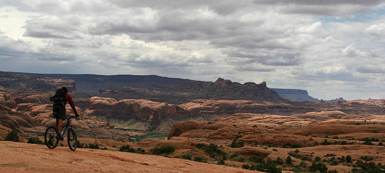 Posion Spider Mesa