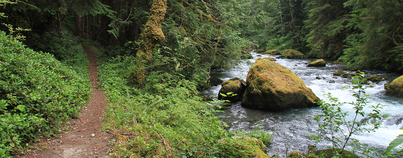 Dungeness River